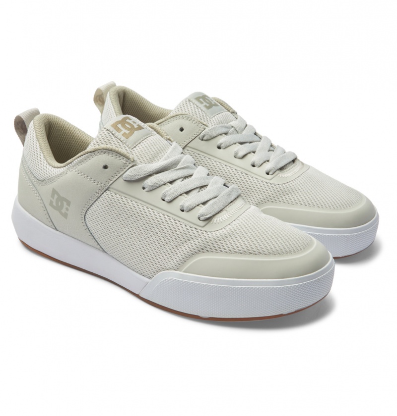 Chestnut / Off White DC Shoes Transit - Shoes | 814IMNUEX