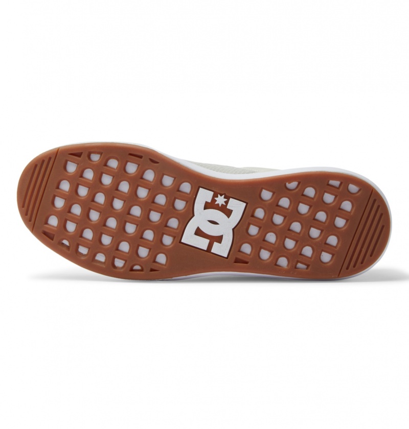 Chestnut / Off White DC Shoes Transit - Shoes | 814IMNUEX