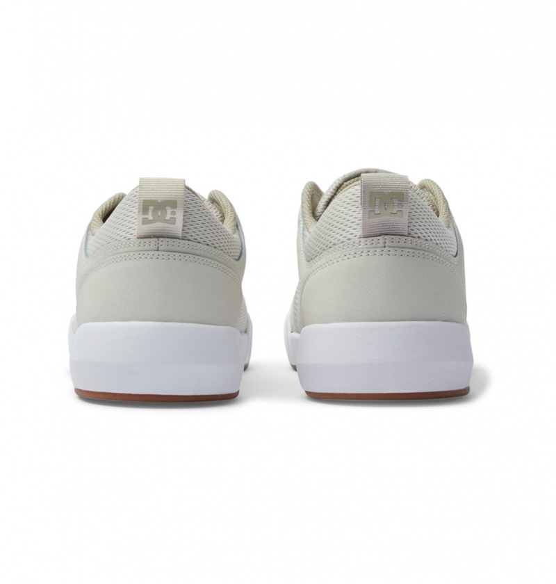 Chestnut / Off White DC Shoes Transit - Shoes | 814IMNUEX