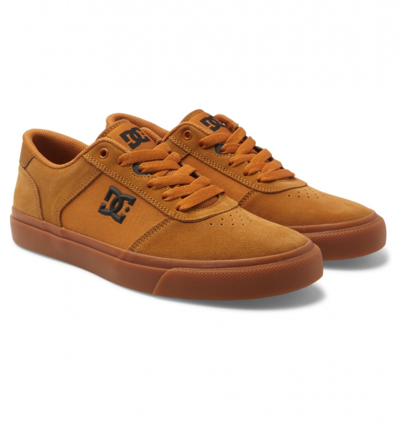 Dark Chocolate / Wheat / Gum DC Shoes Teknic - Leather Shoes | 712WDFIKM