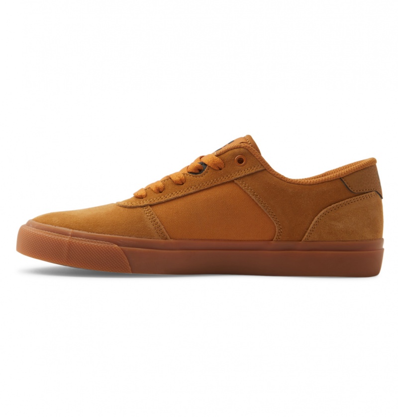 Dark Chocolate / Wheat / Gum DC Shoes Teknic - Leather Shoes | 712WDFIKM