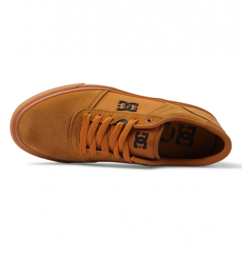 Dark Chocolate / Wheat / Gum DC Shoes Teknic - Leather Shoes | 712WDFIKM