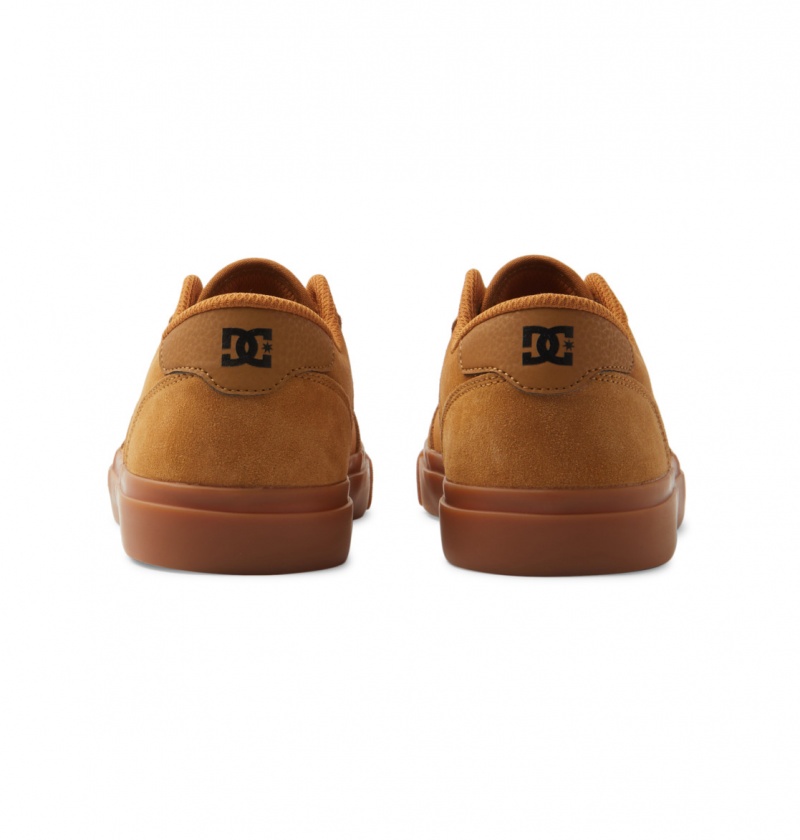 Dark Chocolate / Wheat / Gum DC Shoes Teknic - Leather Shoes | 712WDFIKM