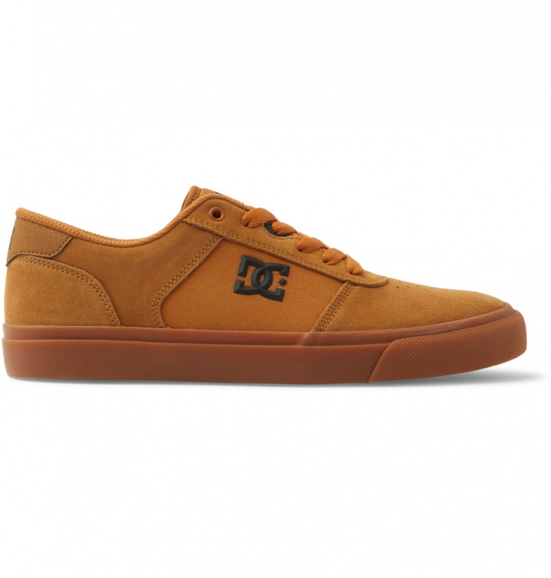 Dark Chocolate / Wheat / Gum DC Shoes Teknic - Leather Shoes | 712WDFIKM