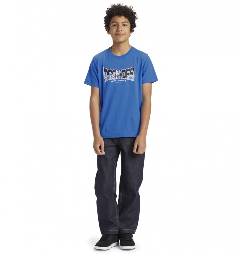 French Blue DC Shoes Astro - T-Shirt 8-16 | 091TJRWHM