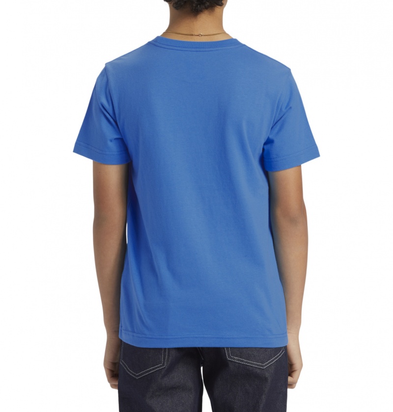 French Blue DC Shoes Astro - T-Shirt 8-16 | 091TJRWHM