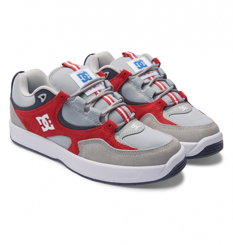 Grey / Red DC Shoes Kalynx Zero S - Leather Skate Shoes | 975SNPYWE