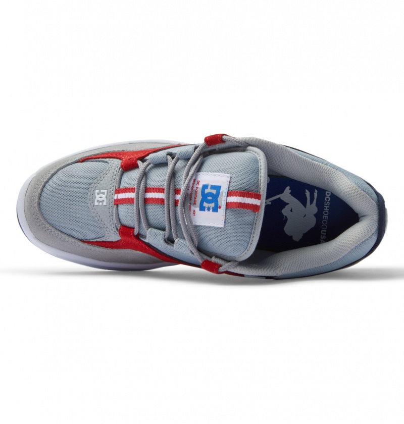 Grey / Red DC Shoes Kalynx Zero S - Leather Skate Shoes | 975SNPYWE