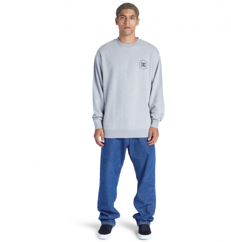 Heather Grey DC Shoes DC Star Pilot - Sweatshirt | 472MAOPYZ