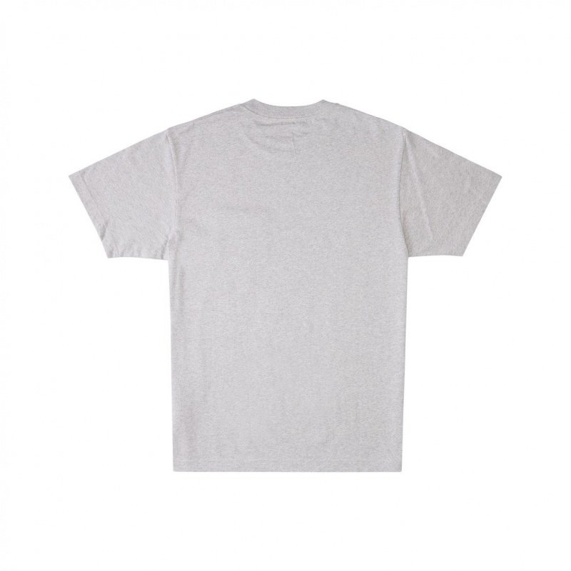 Heather Grey DC Shoes DC Star - T-Shirt | 721FSXCRA