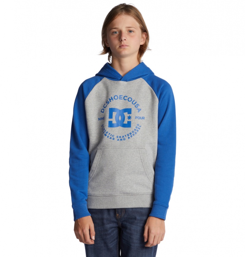 Heather Grey / Nautical Blue DC Shoes DC Star Pilot - Hoodie 8-16 | 794CIRGPB