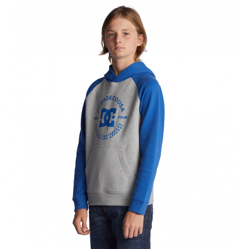 Heather Grey / Nautical Blue DC Shoes DC Star Pilot - Hoodie 8-16 | 794CIRGPB