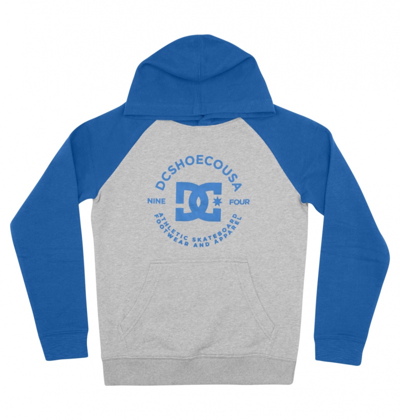 Heather Grey / Nautical Blue DC Shoes DC Star Pilot - Hoodie 8-16 | 794CIRGPB