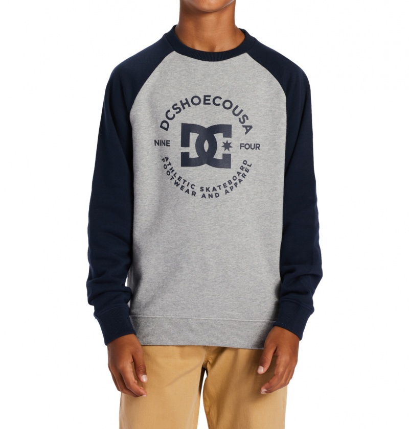 Heather Grey / Navy Blazer DC Shoes DC Star Pilot - Sweatshirt 8-16 | 318DFACLK