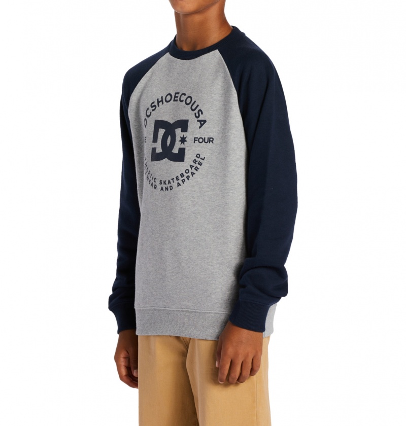 Heather Grey / Navy Blazer DC Shoes DC Star Pilot - Sweatshirt 8-16 | 318DFACLK