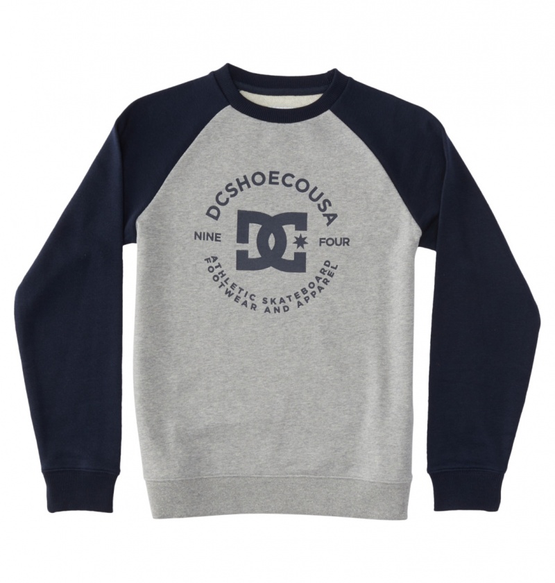 Heather Grey / Navy Blazer DC Shoes DC Star Pilot - Sweatshirt 8-16 | 318DFACLK