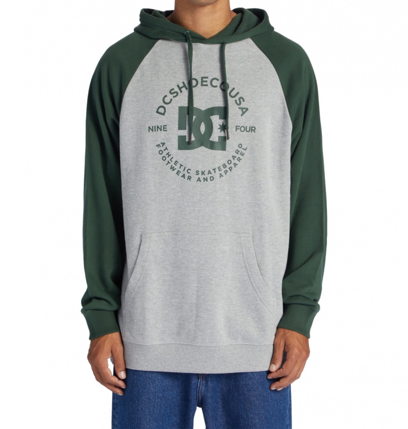 Heather Grey / Sycamore DC Shoes DC Star Pilot - Hoodie | 637YFMEXH