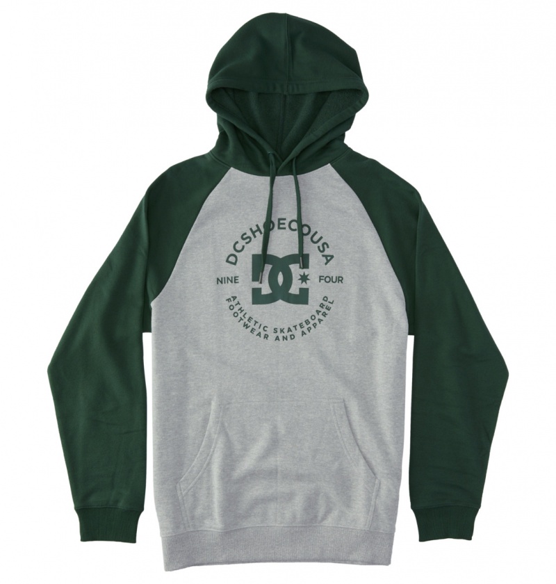 Heather Grey / Sycamore DC Shoes DC Star Pilot - Hoodie | 637YFMEXH