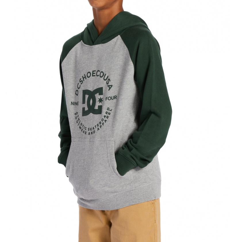 Heather Grey / Sycamore DC Shoes DC Star Pilot - Hoodie 8-16 | 652JGOQUP