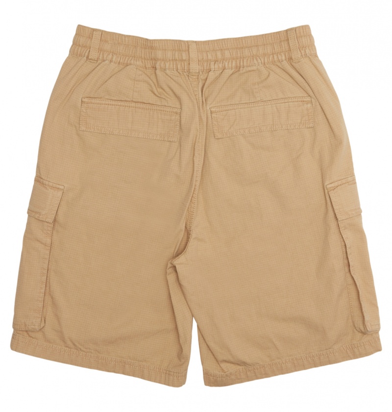 Incense DC Shoes Tundra - Cargo Shorts | 293AKVCGD