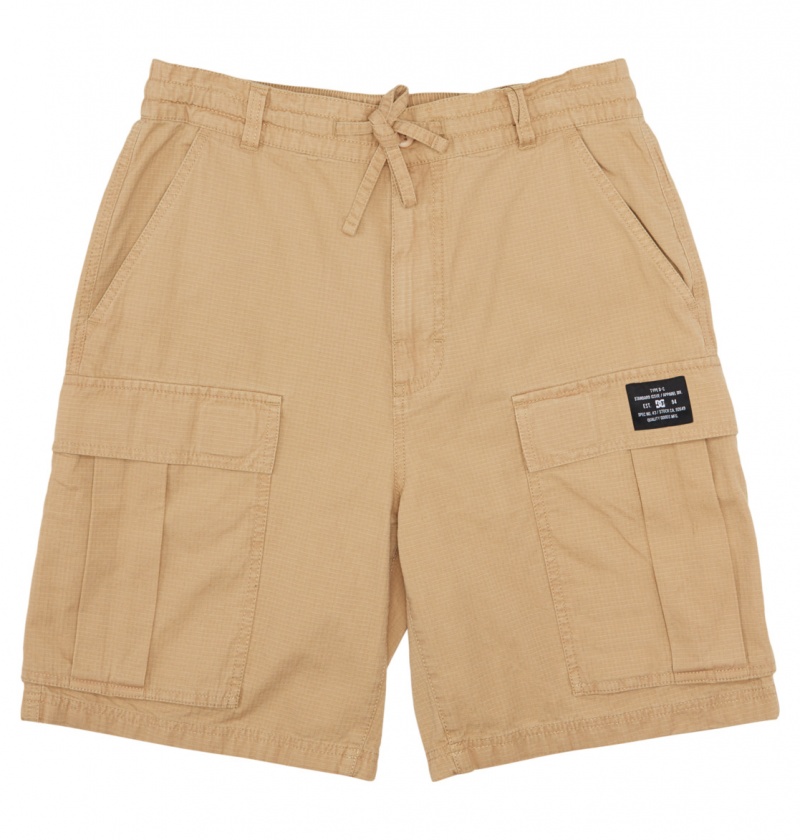 Incense DC Shoes Tundra - Cargo Shorts | 293AKVCGD