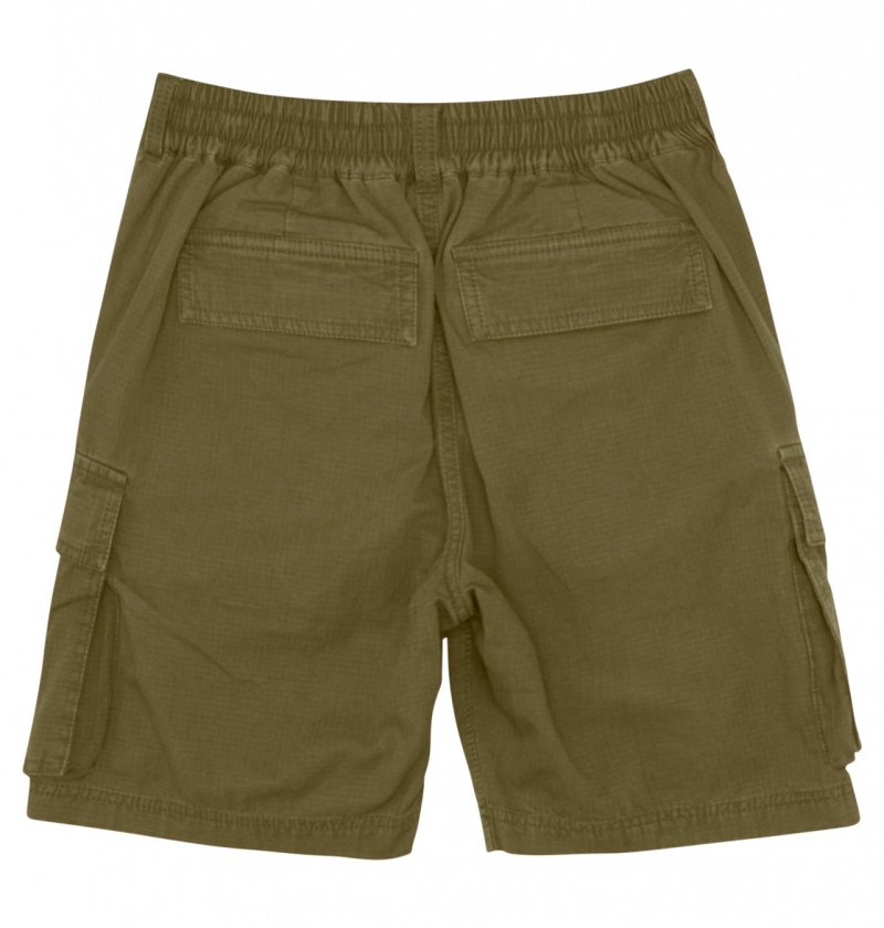 Ivy Green DC Shoes Tundra - Cargo Shorts 8-16 | 098NLKDZA