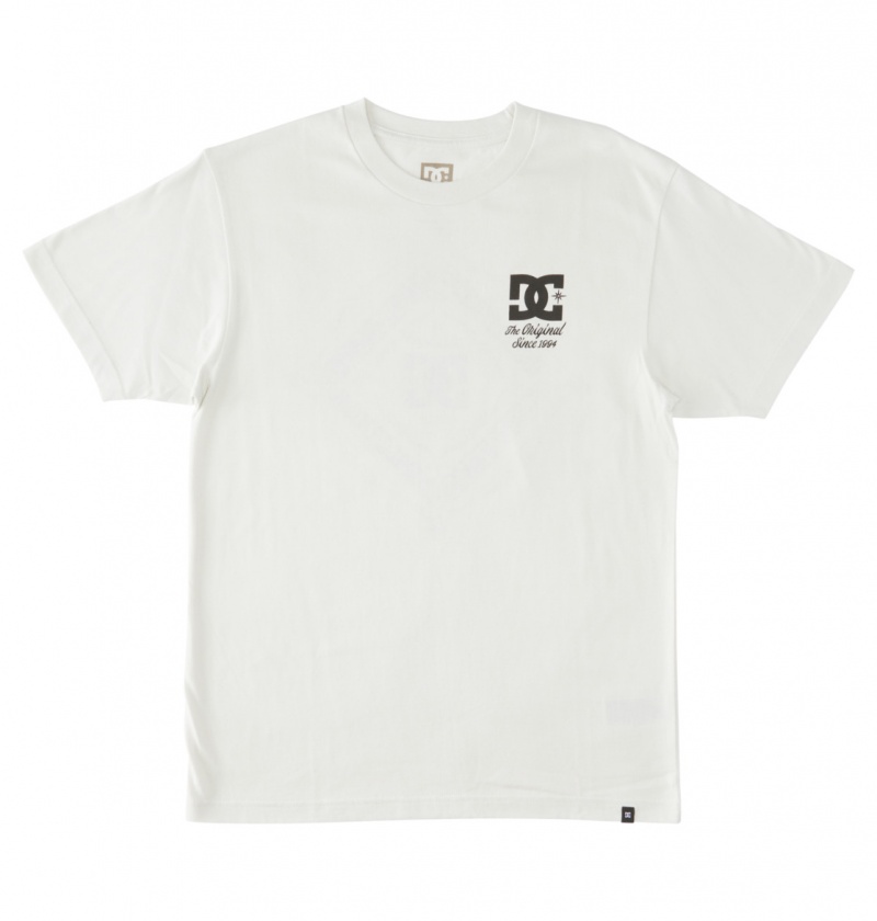 Lily White DC Shoes Classic - T-Shirt | 829TZAJNS