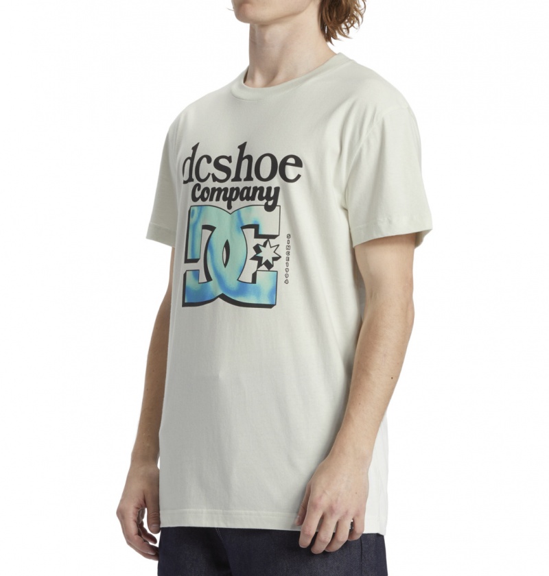 Lily White DC Shoes Overspray - T-Shirt | 698CHJDRP