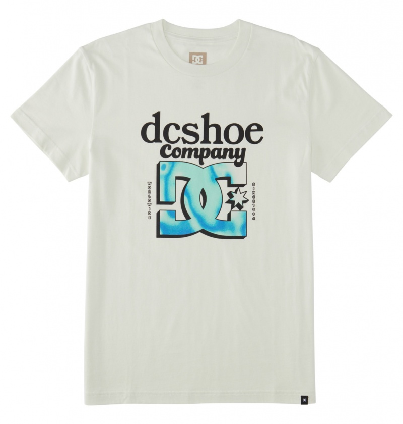 Lily White DC Shoes Overspray - T-Shirt | 698CHJDRP