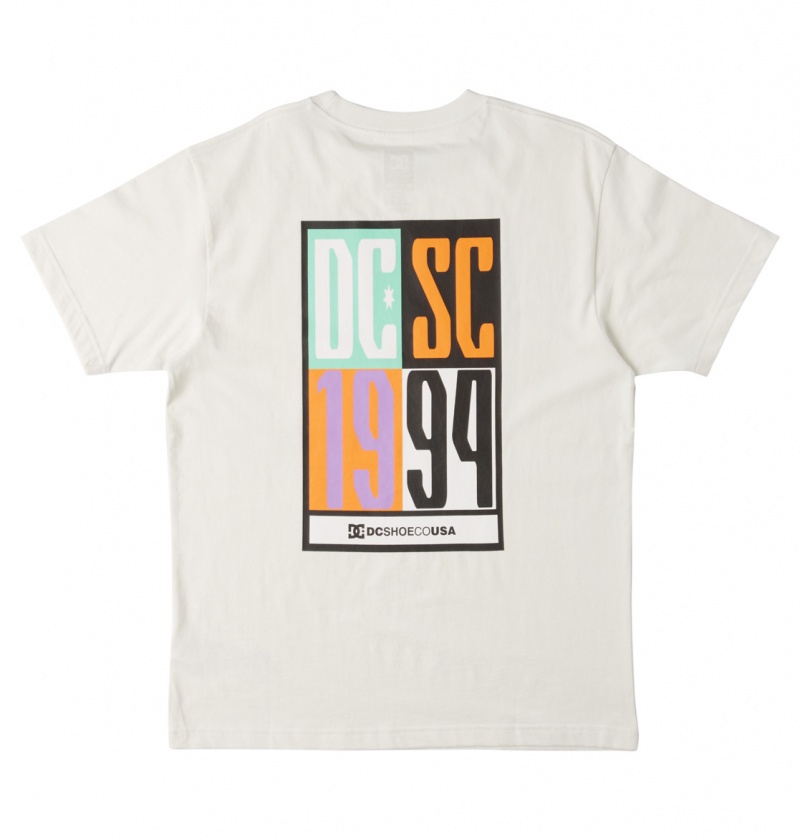 Lily White DC Shoes Sportster - Crew Neck T-shirt | 875TCWSKF