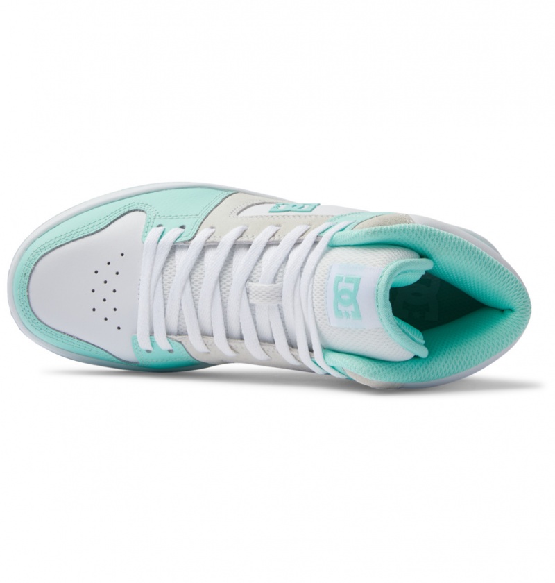 Mint DC Shoes Manteca 4 Hi - High-Top Leather Shoes | 201GNASRL