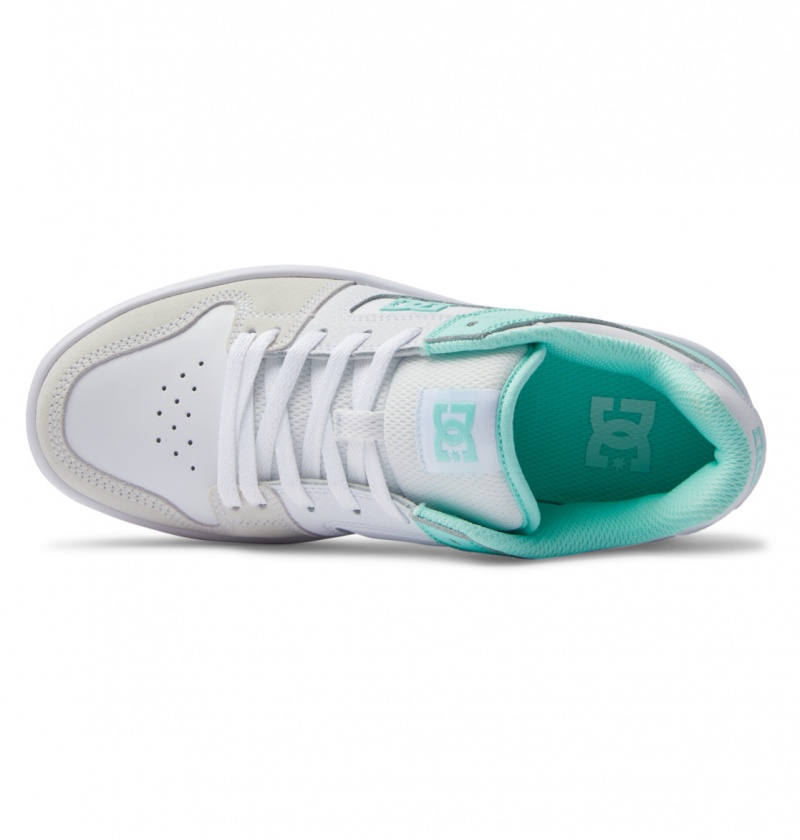 Mint DC Shoes Manteca 4 Platform - Flatform Shoes | 503RAPNCF