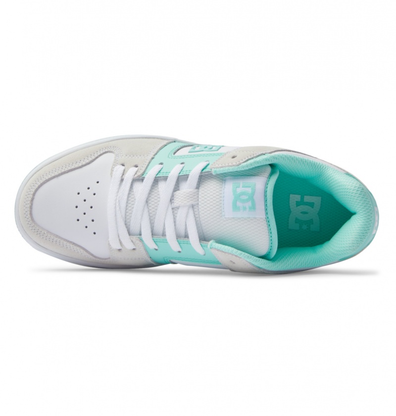 Mint DC Shoes Manteca - Leather Shoes | 891KGSTBR