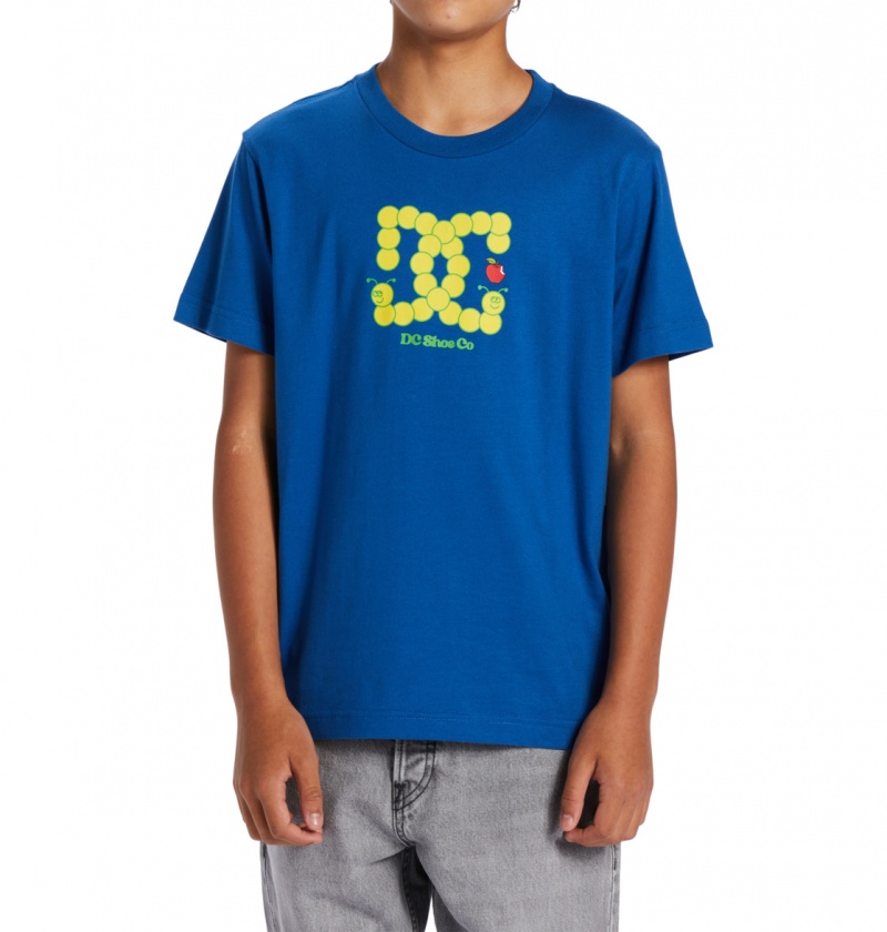 Nautical Blue DC Shoes Bookworm - T-Shirt 10-16 | 275VKTUOE