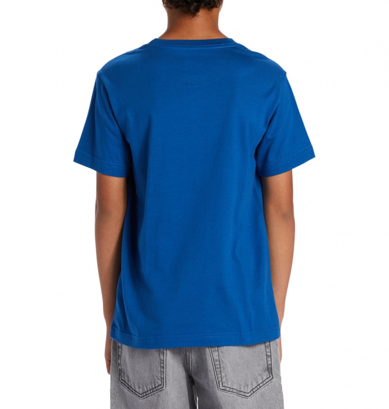 Nautical Blue DC Shoes Bookworm - T-Shirt 10-16 | 275VKTUOE