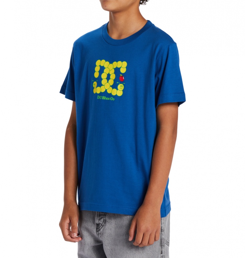 Nautical Blue DC Shoes Bookworm - T-Shirt 10-16 | 275VKTUOE