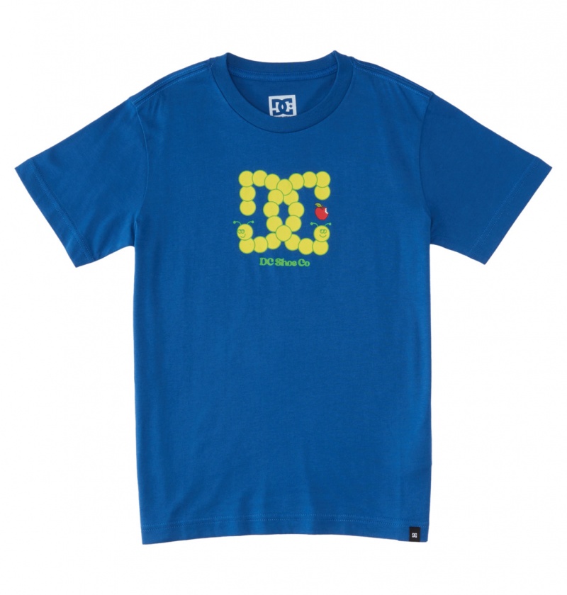 Nautical Blue DC Shoes Bookworm - T-Shirt 10-16 | 275VKTUOE