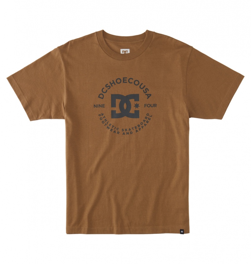 Otter DC Shoes DC Star Pilot - T-Shirt | 853KGIAEW