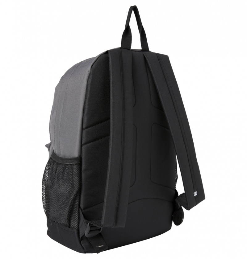 Pewter DC Shoes Backsider Seasonal 20L - Medium Backpack | 930BNJFPR 