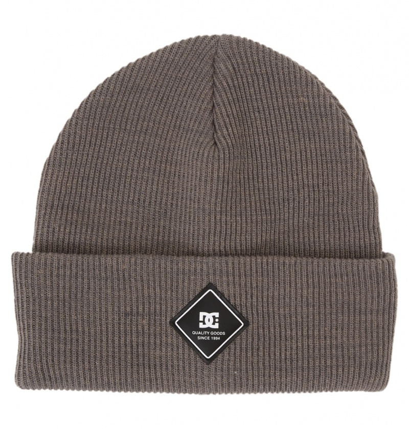 Pewter DC Shoes Label - Beanie | 574KSRWPN