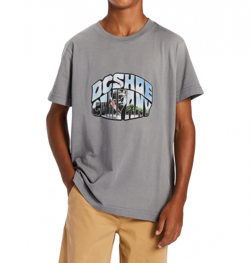 Pewter Potassium Spray DC Shoes Citywide - T-Shirt 10-16 | 078QPJSAW