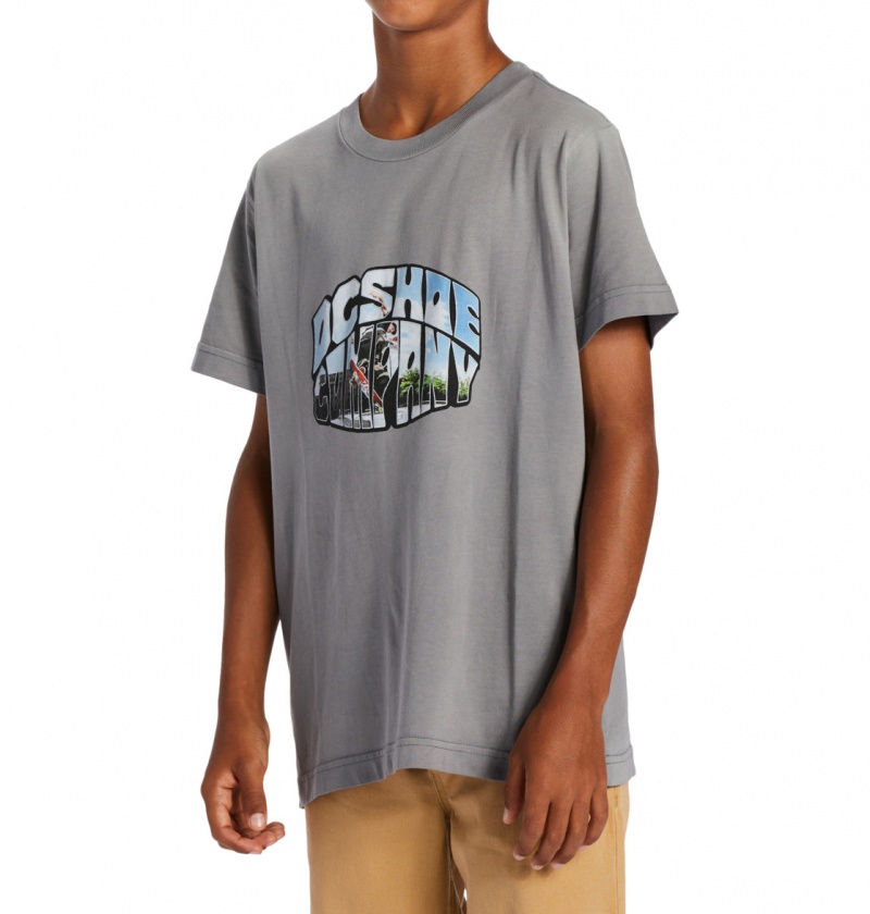 Pewter Potassium Spray DC Shoes Citywide - T-Shirt 10-16 | 078QPJSAW