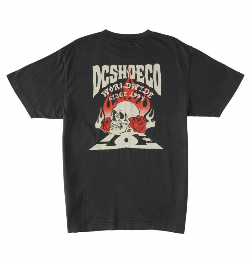 Pirate Black Enzyme Wash DC Shoes Defiant - T-Shirt | 325DSCYQE