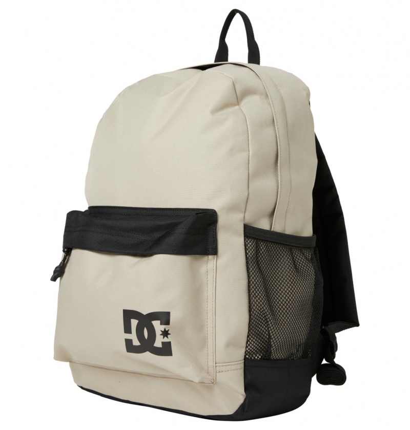 Plaza Taupe DC Shoes Backsider Seasonal 20L - Medium Backpack | 063TVLYHP