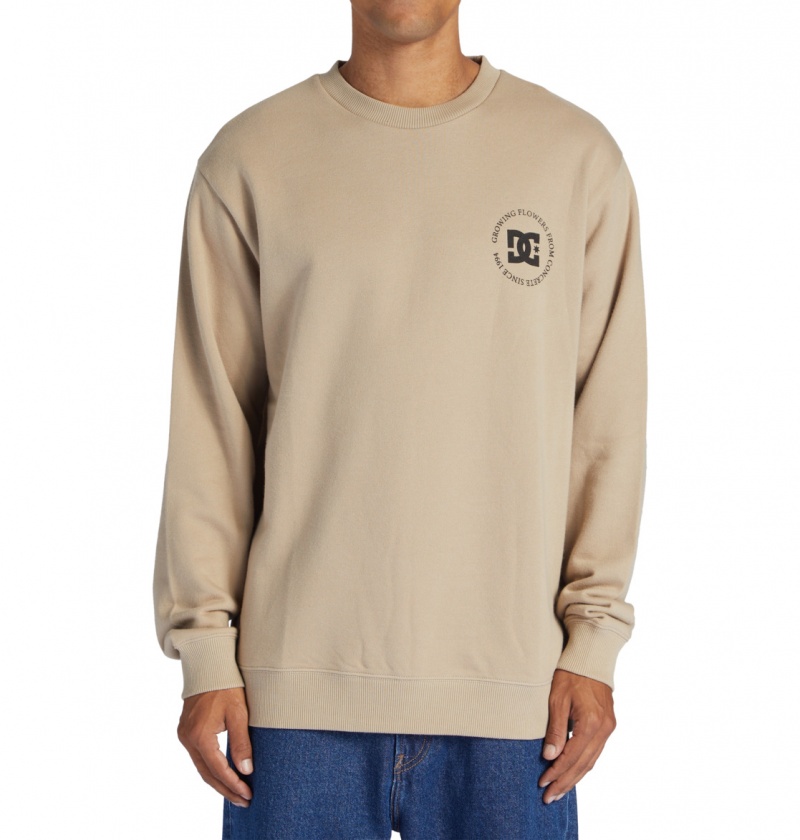 Plaza Taupe DC Shoes Concrete - Sweatshirt | 179CVPIRX