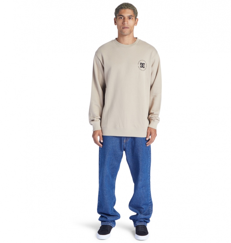 Plaza Taupe DC Shoes Concrete - Sweatshirt | 179CVPIRX