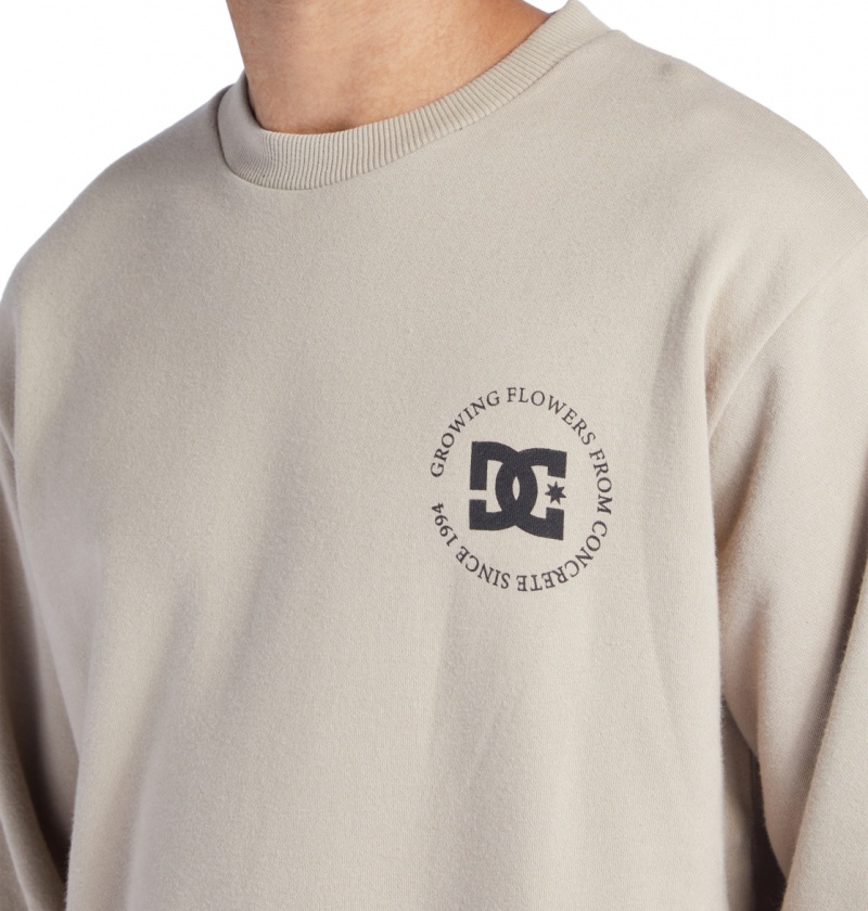 Plaza Taupe DC Shoes Concrete - Sweatshirt | 179CVPIRX