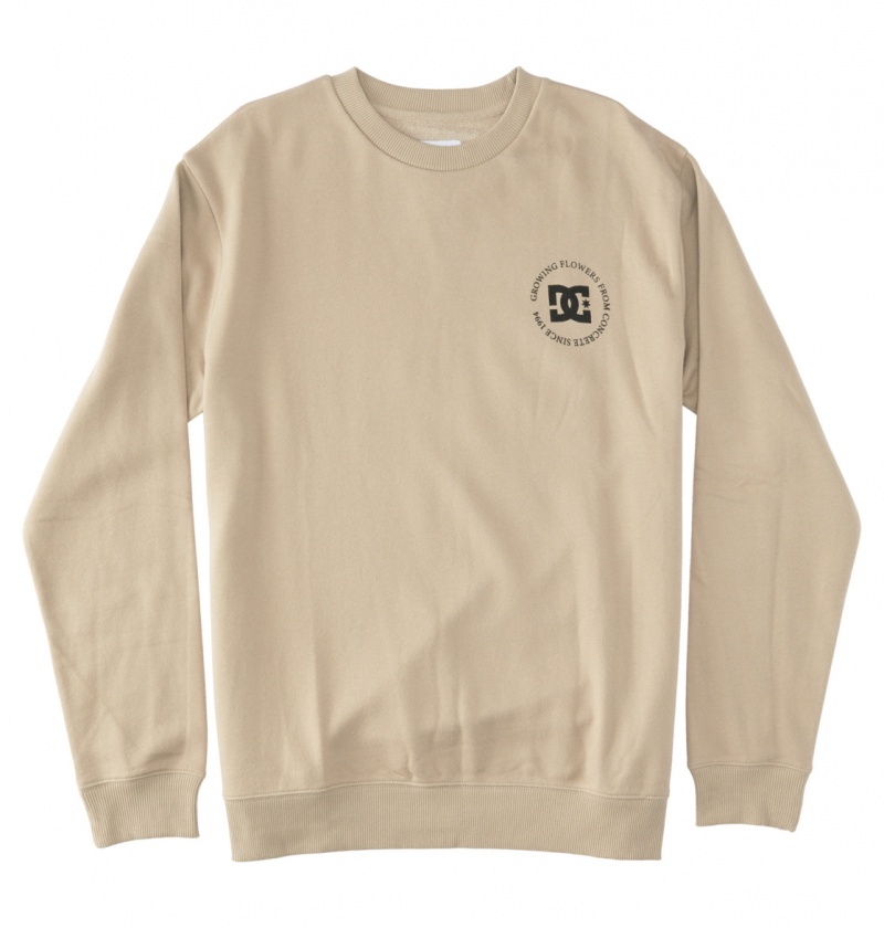 Plaza Taupe DC Shoes Concrete - Sweatshirt | 179CVPIRX