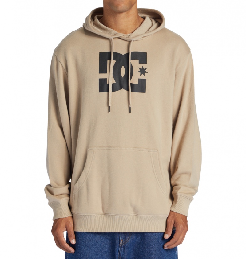 Plaza Taupe DC Shoes DC Star - Hoodie | 873LJIAWN