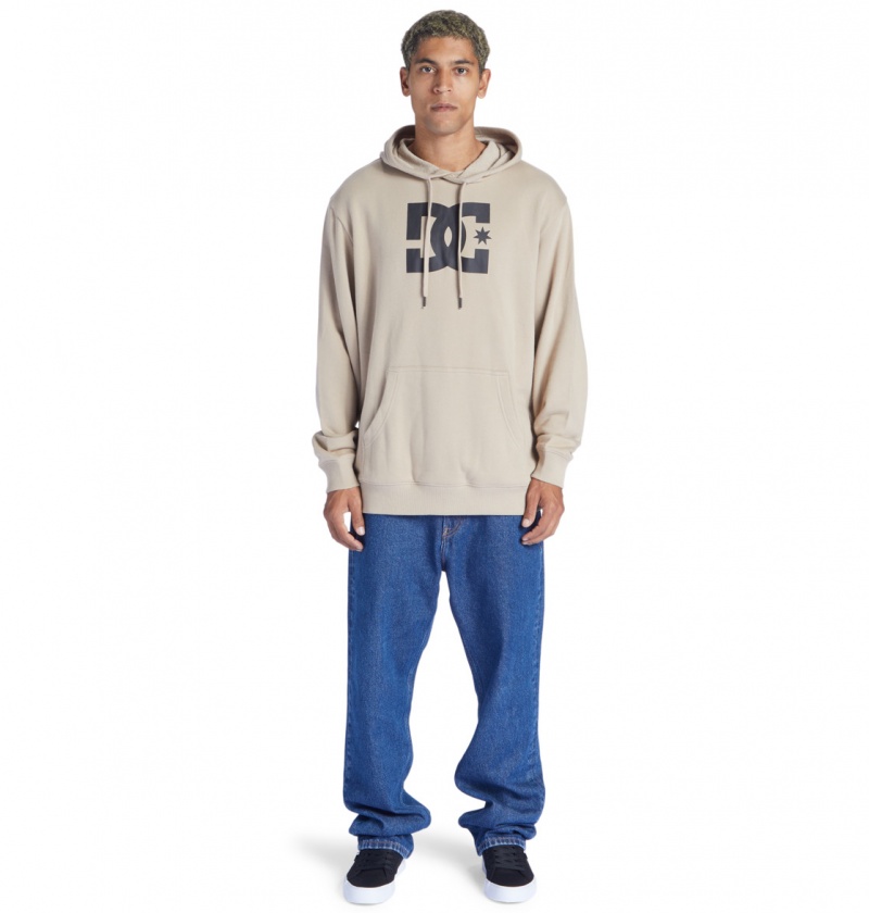 Plaza Taupe DC Shoes DC Star - Hoodie | 873LJIAWN